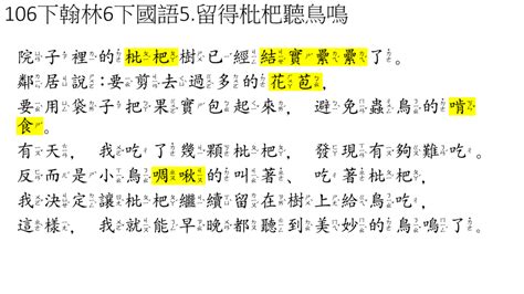 留得枇杷聽鳥鳴|05記敘文